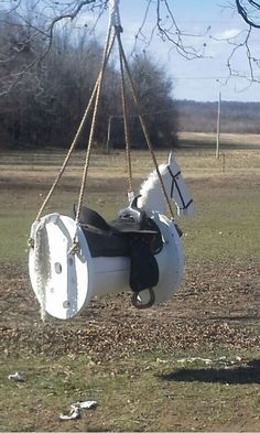 a horse is sitting in a tire swing