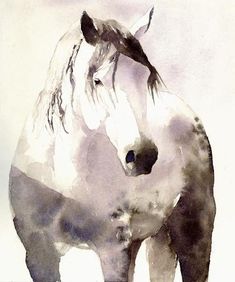 a watercolor painting of a white horse