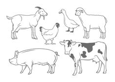 black and white farm animals clipart with cow, chicken, pig and sheep on