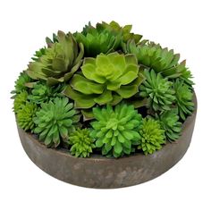 a potted plant with lots of green plants in it's centerpiece on a white background