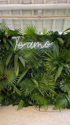 there is a sign that says teams on the side of a wall covered in plants