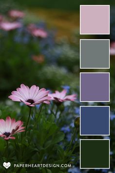 some pink and blue flowers are in the grass