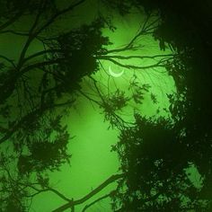 the moon is shining through the trees in the foggy night sky with green light