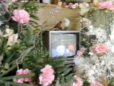 a bird sitting on top of a tv surrounded by flowers