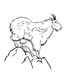 an animal that is standing on top of a rock in black and white coloring book page