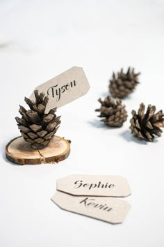 pine cones with name tags on them sitting on a white table top next to each other