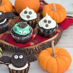 halloween cupcakes with chocolate frosting and sprinkles are on a plate