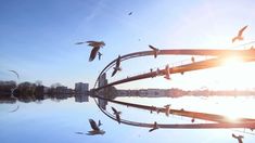 seagulls flying over the water at sunset with a bridge in the foreground