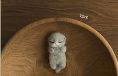 a small stuffed animal sitting on top of a wooden bowl with the words kitten written above it