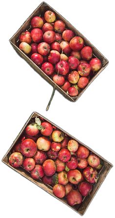 two boxes filled with red apples sitting next to each other on top of a white surface