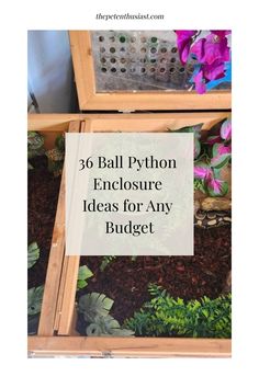 a wooden box filled with lots of plants and text that reads, 3 ball python enclosure ideas for any budget