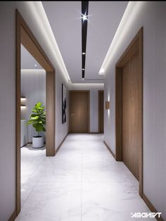 an empty hallway with white walls and wooden doors leading to another room that has a potted plant in the corner