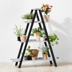 a wooden shelf filled with potted plants