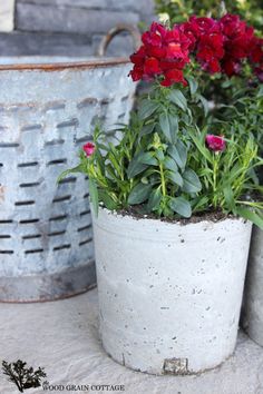 some red flowers are in a white planter on the ground next to two buckets