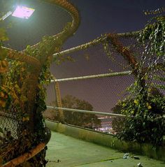 a fence with vines and lights in the background