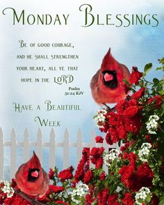 two red birds sitting on top of flowers next to a white picket fence with the words monday blessing