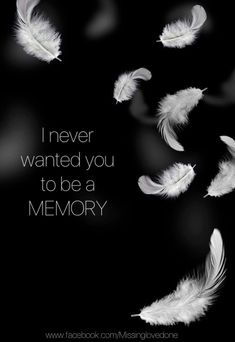 some white feathers flying in the air with a quote above it that says i never wanted you to be a memory