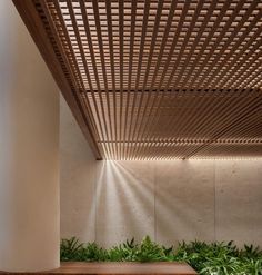 the inside of a building with plants growing on the wall and wooden flooring in front of it