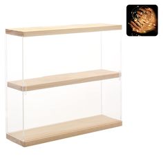 two wooden shelves with clear glass cases on each shelf, one holding a hand and the other holding an object