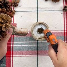 a person is using a tool to cut up pine cones on a plaid tablecloth