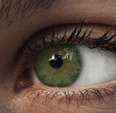 Dark Green Eyes, Beautiful Eyes Color, Aesthetic Eyes, Throne Of Glass, Intp, Pretty Eyes, Eye Art, Character Aesthetic, Green Aesthetic