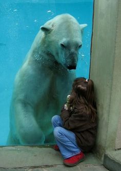 a polar bear is looking at someone's face in front of a mirror with the caption hey you, i bet you taste good