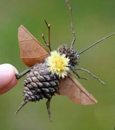 a hand holding a tiny insect with a flower on it's back and wings