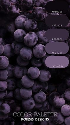 the color palette is purple and it looks like grapes