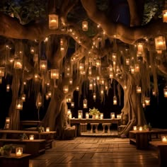 a large tree with candles hanging from it's branches