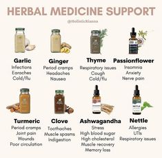 Herbal Medicine Cabinet, Eastern Medicine, Magic Herbs