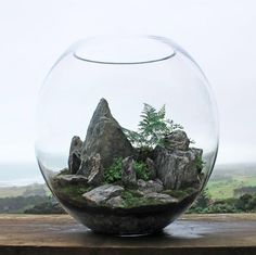 a glass bowl filled with rocks and plants