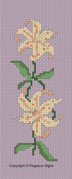 a cross stitch pattern with flowers on it