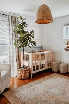 a baby's room with a crib, rug and potted plant