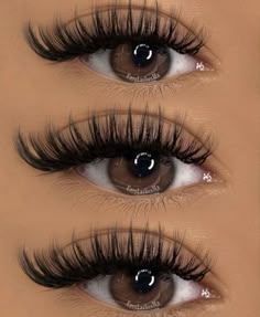 Natural Fake Eyelashes, Lashes Fake Eyelashes, Fans Only, Wispy Eyelashes, Wet Set, Cat Eye Lash, Eyelash Extensions Styles, Lash Extensions Styles, Perfect Eyelashes