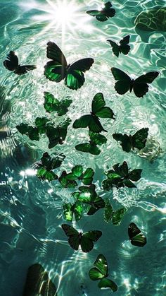 many green butterflies floating in the water