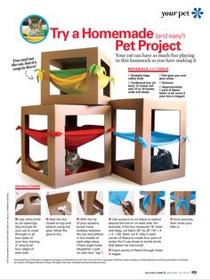 an article in a magazine about how to make a hammock pet project for cats