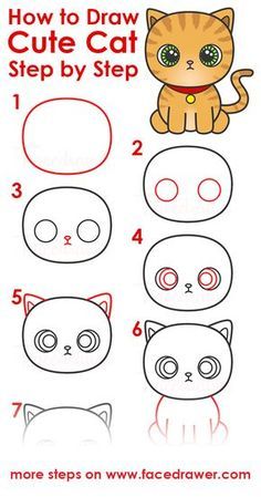 how to draw cute cat step by step for kids and beginners with easy instructions