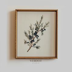 a framed painting with blue berries and green leaves hanging on the wall next to a white wall