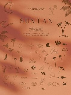 the suntan logo is shown on an orange background with palm trees and other symbols