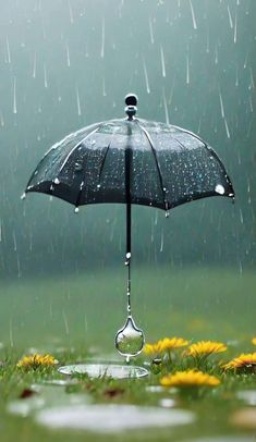 Rain Images Beautiful, Rainy Images, Romantic Rain, Pencil Sketches Easy, Rain Pictures, Symbol Of Hope, Pond Design, Walking In The Rain, Art Gallery Wallpaper