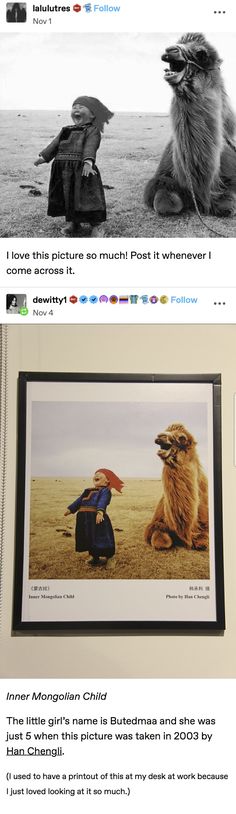 an image of two birds sitting next to each other in front of a framed photo