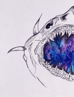 a drawing of a shark with its mouth open