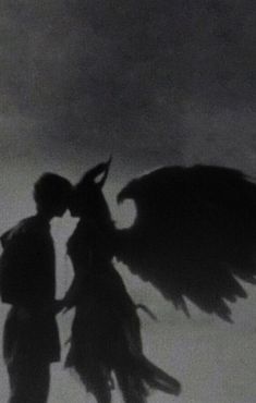 two people are standing next to each other with their wings spread out and one person is kissing the other