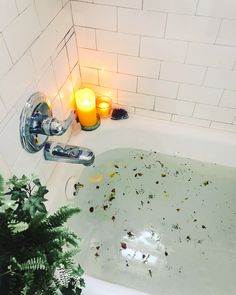 a bathtub filled with lots of water next to a potted plant and candles