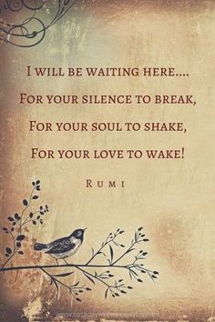 a bird sitting on top of a tree branch next to a quote that reads, i will be waiting here for your science to break, for your soul to shake, for your love to wake