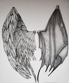 a drawing of two wings facing each other