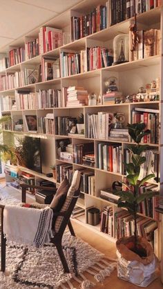 a living room filled with lots of books and furniture next to a plant on top of a rug