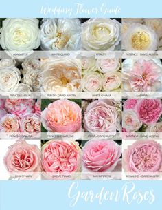 a bunch of pink and white flowers with the words wedding flower guide written below them