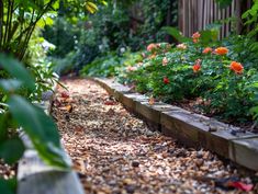 the garden is full of flowers and plants