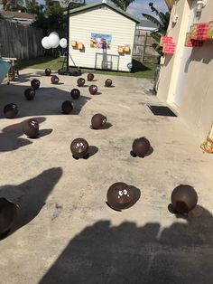 some balls are laying on the ground in front of a house